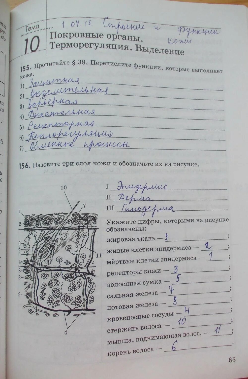 Биология 9 класс колесов маш. Колесов Беляев маш биология 8 рабочая тетрадь. Биология 8 класс рабочая тетрадь Колесов маш Беляев 2020. Рабочая тетрадь Колесов маш 8 класс. Биология 8 класс рабочая тетрадь Колесов.