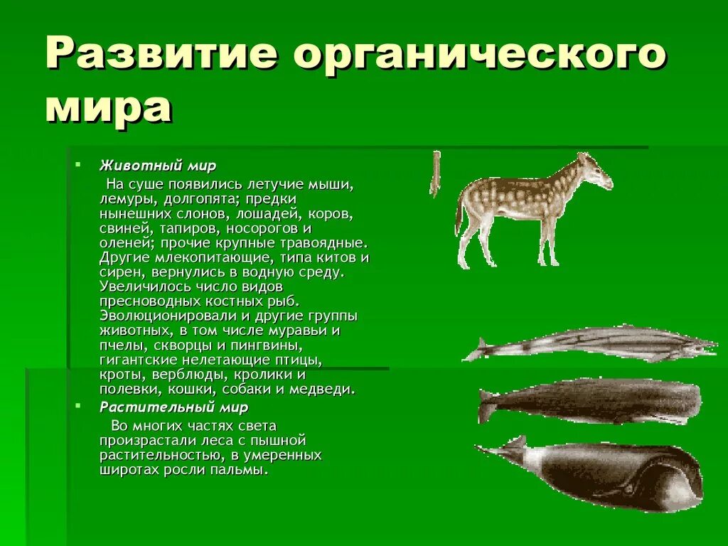 Основные этапы органической эволюции презентация. Этапы эволюционного развития. Основные этапы органической эволюции. Основные этапы органической эволюции презентация. Основные этапы органической эволюции презентация.