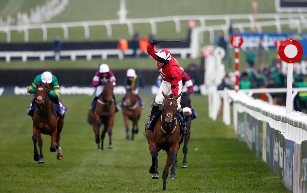 Скачек функции. Grand national horse race великобритании. скачки на лошадях в великобритании. образ для скачек. скачки в ирландии.