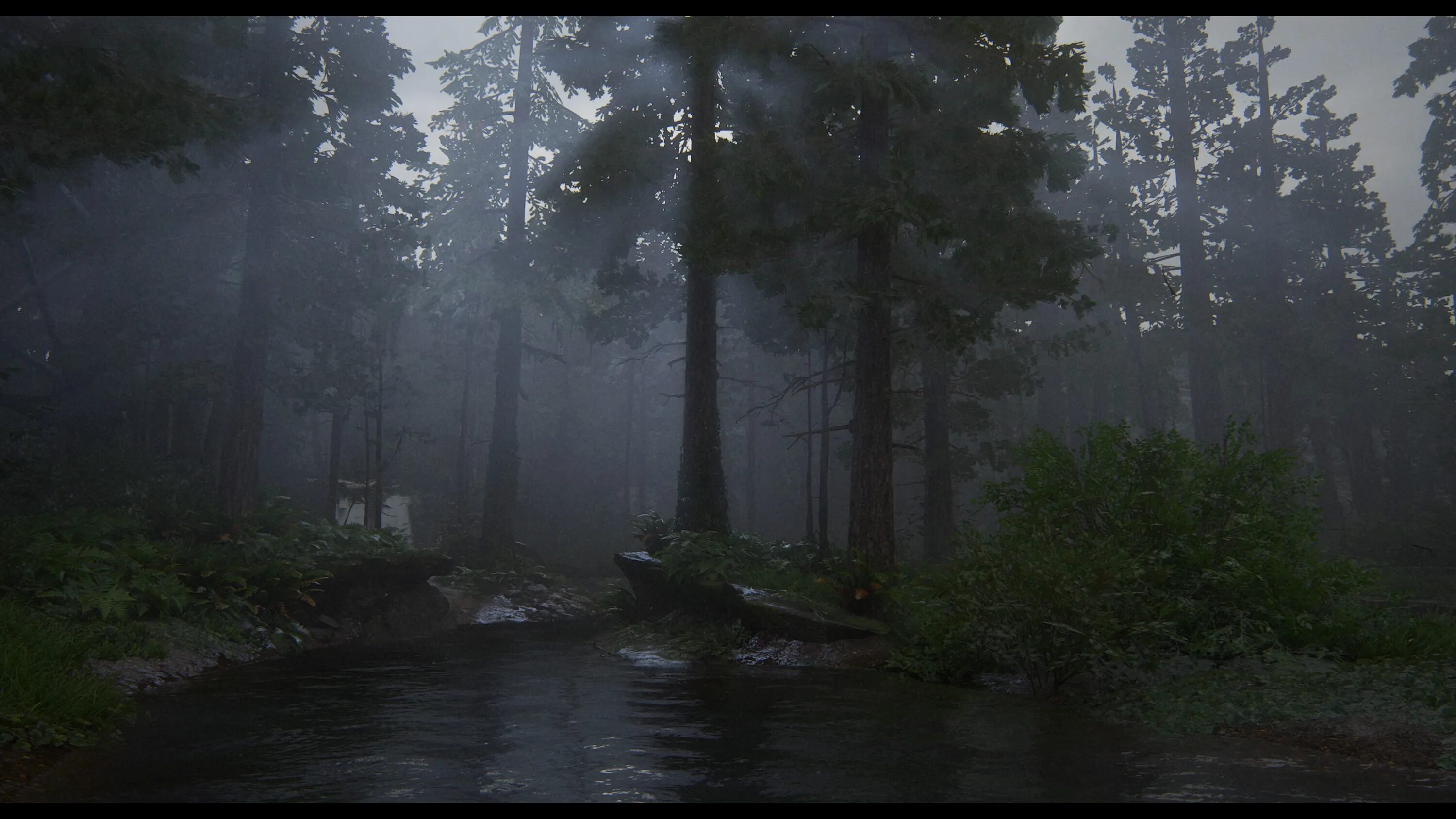The last of us part i прохождение. The last of us 2 лес. the last of us 2 лес темный. the last of us лес. the last of us 2 лес на рабочий стол.
