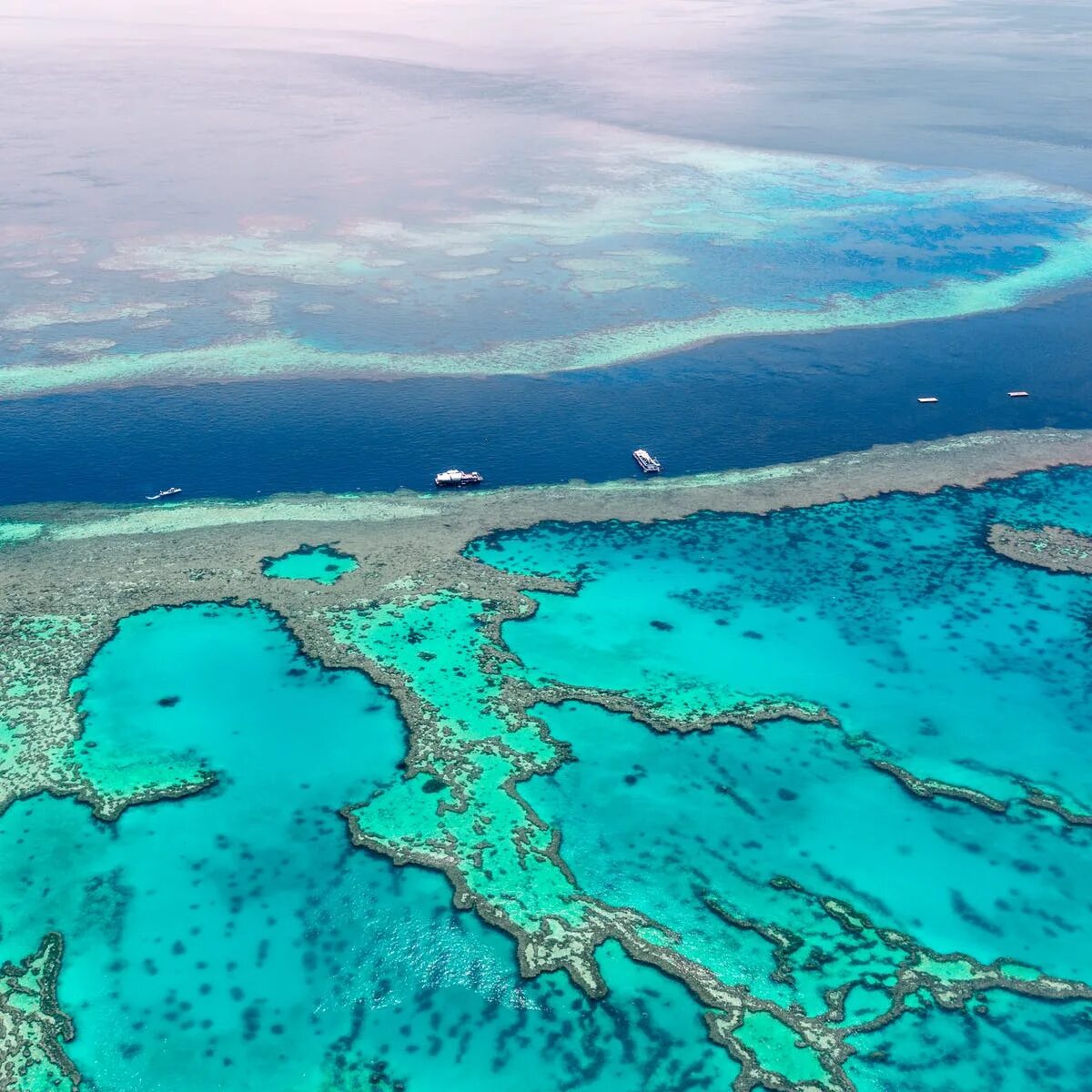 Большой Барьерный риф. Большой Барьерный риф (the great Barrier Reef). Коралловый Барьерный риф в Австралии. Большой Барьерный риф (ББР), Австралия. Большой барьерный риф ответ