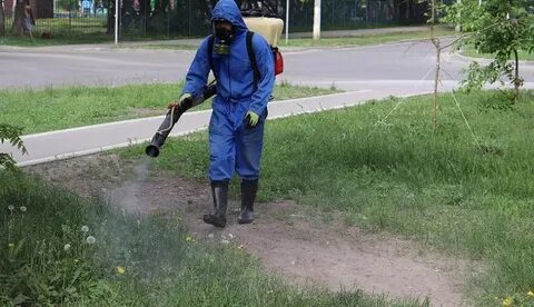 Пойду обрабатывать