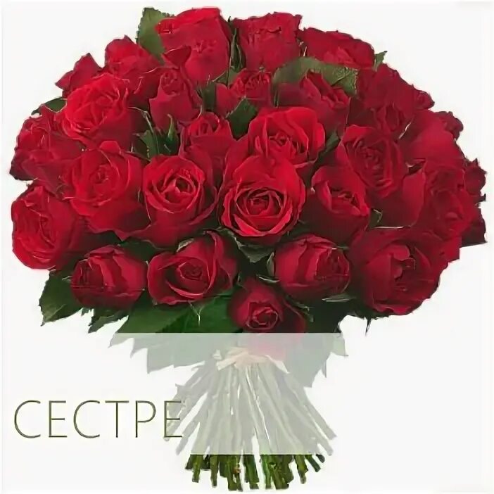 Букет сестричке красивый. Букеты сестра моя. Цветы для сестры. Маленький букетик для сестры. Красивые букеты цветов для сестры.