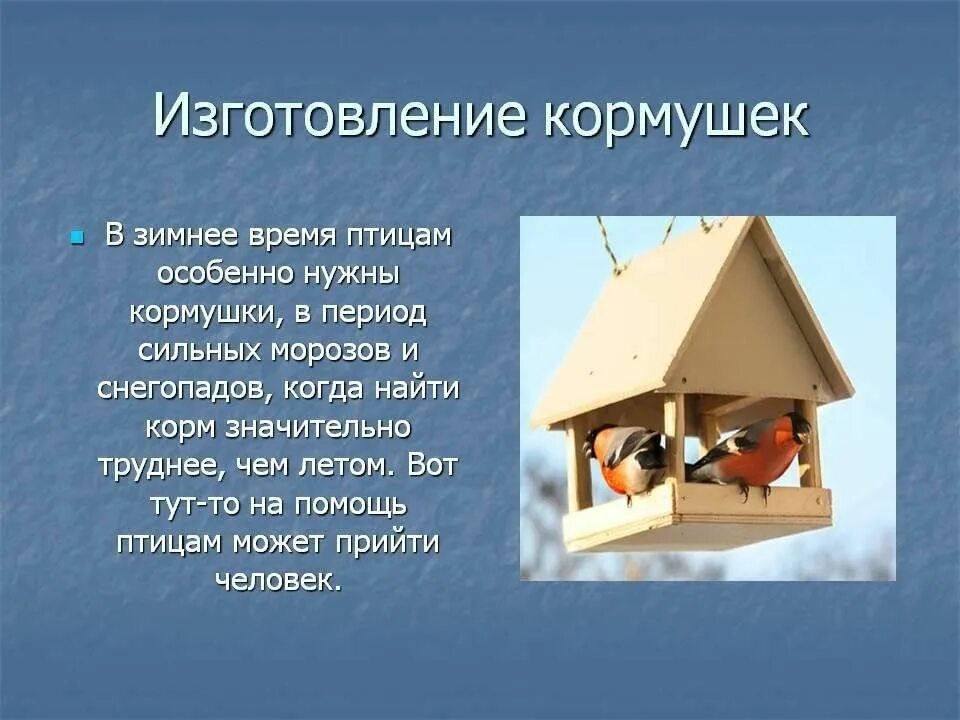 Проект как сделать кормушку для птиц