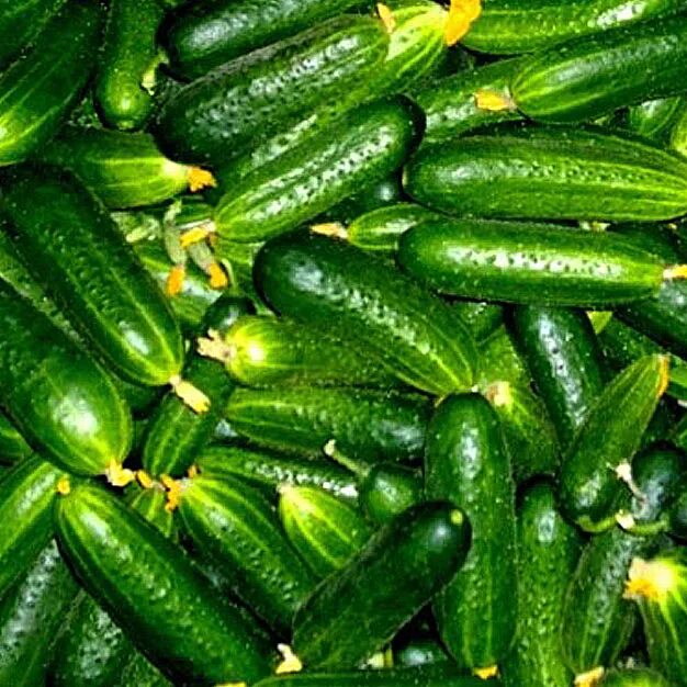 Огурец Меренга 10шт
