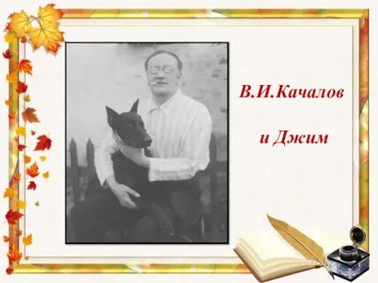 Собаке качалова