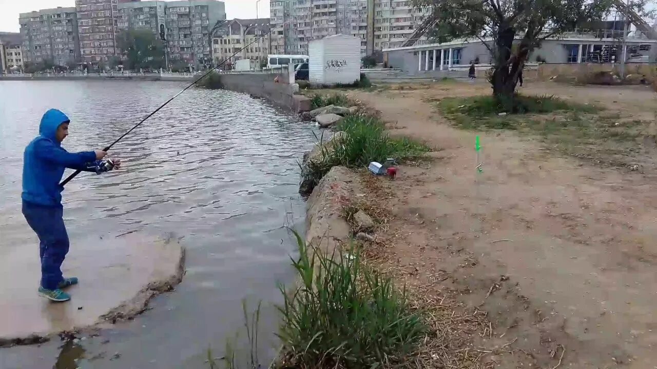 Рыбалка в махачкале. Рыбалка в махачкале на море. Рыбалка в махачкале. Рыба реки сулак. Рыбалка в дагестане.