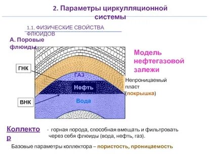 породы нефти и газа