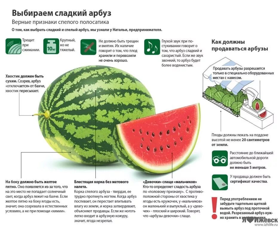 Какие химические вещества содержатся в арбузе. Как выбрать Арбуз спелый и сладкий. Как выбрать Арбуз. Как выбрать Арбуз схема. Правильный выбор арбуза.