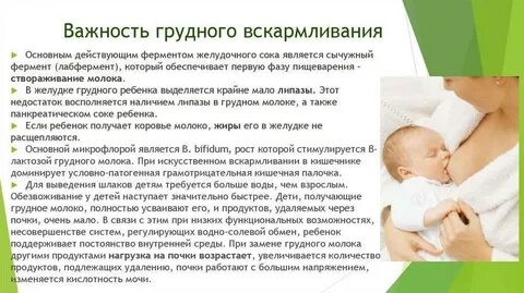 Почки при грудном вскармливании