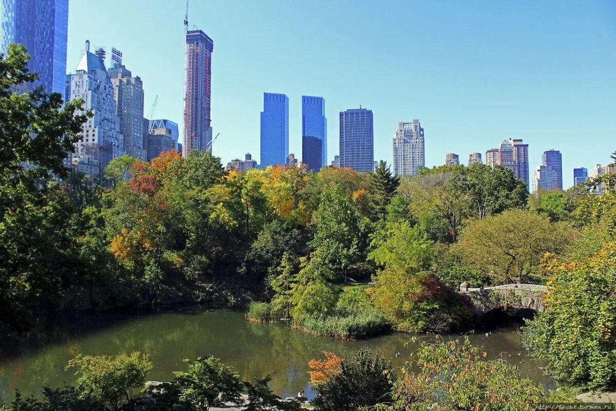 Гайден парк нью-йорк. Central park me. Большой центральный парк нью-йорка. Парк в нью-йорке. Центральный парк, нью йорк, сша.
