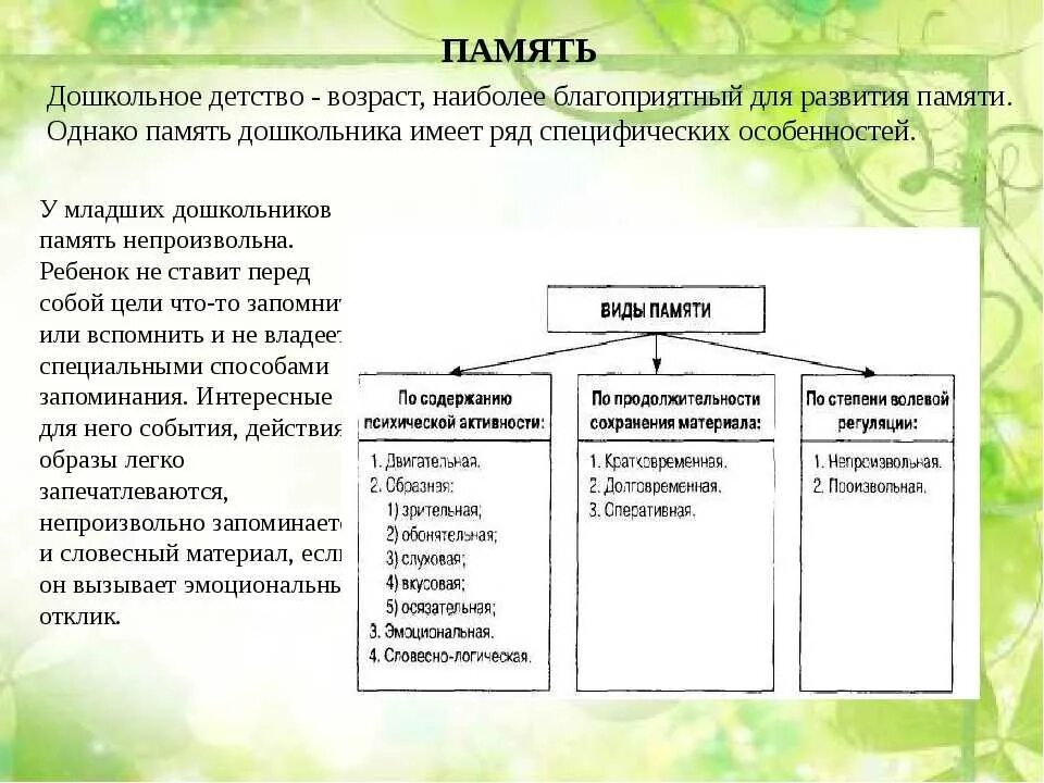 Память детей по возрастам. У детей дошкольного возраста превалируют следующие виды памяти. Преобладающий вид памяти у детей дошкольного возраста. Виды памяти, особенности памяти у детей. Средства развития памяти у дошкольников.