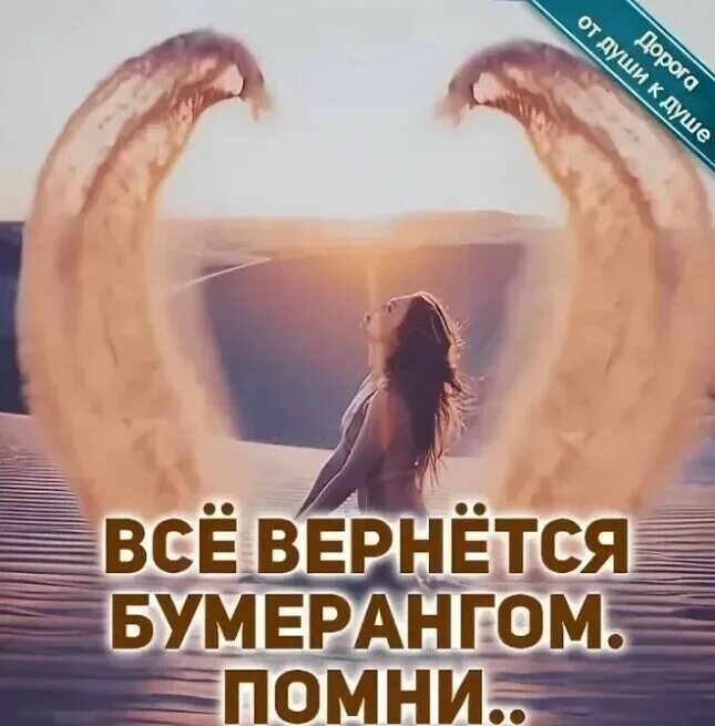 Бумеранг возвращается. Открытки все вернется бумерангом. все вернется бумерангом. открытка бумеранг вернется. статус про бумеранг со смыслом.