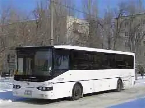 Волгоград светлый яр автобус