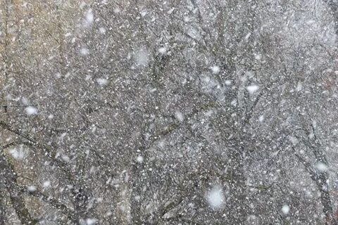Снегопад мокрый снег