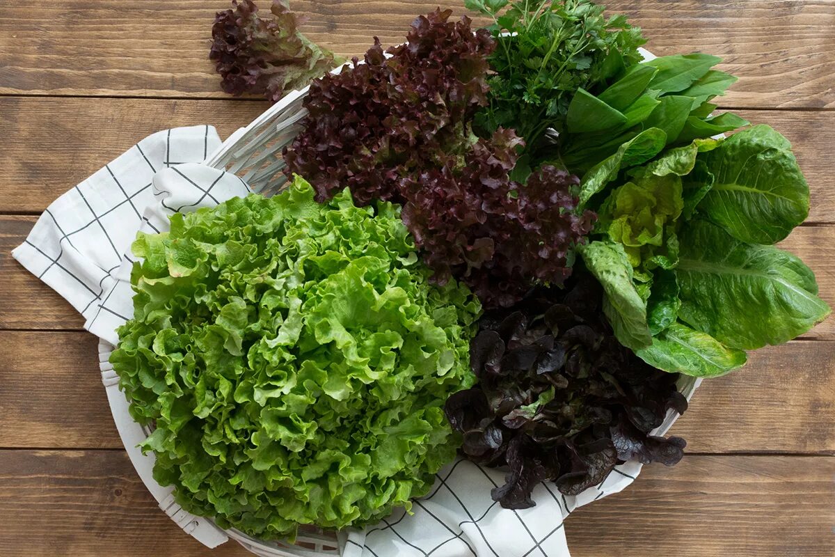 Салат листовой - купить по выгодной цене с доставкой от 30 минут Fresh eco food