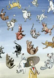Raining cats and dogs