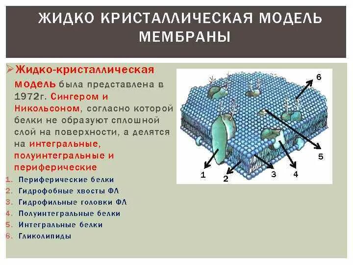 Регулируемое вещество