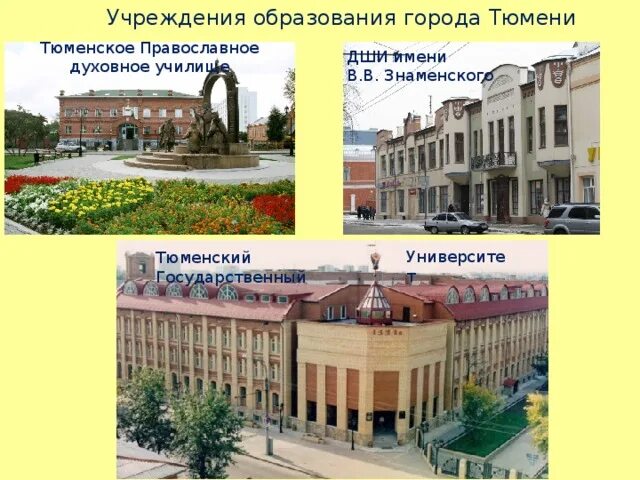 Государственное учреждение тюмень. Учреждения образования в Тюмени. Учреждения культуры и образования в Тюмени. Г.Тюмень учебные заведения. Культурные учреждения.