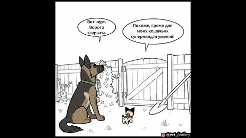 Пикси и брут комикс