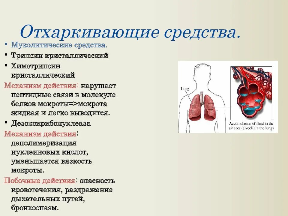 Ср ва влияющие на функцию органов дыхания. Фармакология вещества влияющие на функцию органов дыхания. Отхаркивающие средства фармакология. Лекарственные средства влияющие на функции органов дыхания.