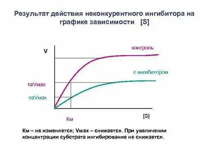 Зависимость активности ферментов от концентрации субстрата