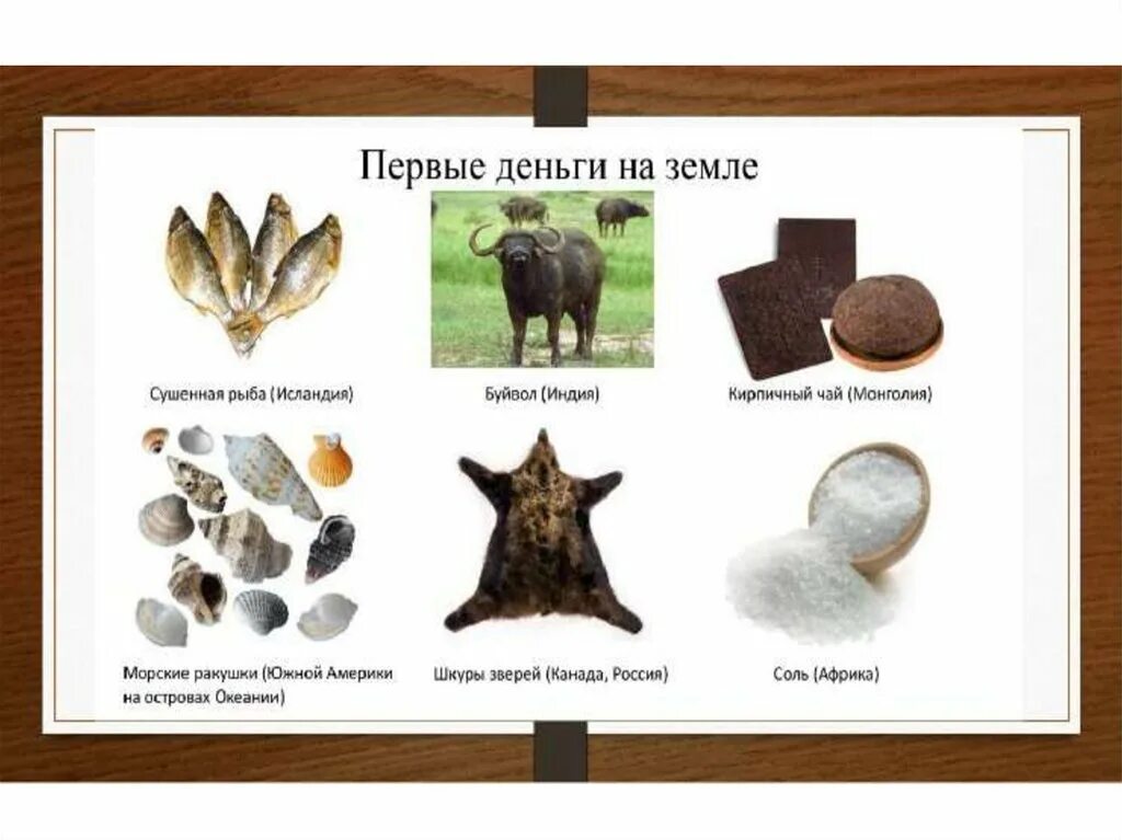 Тип первых денег