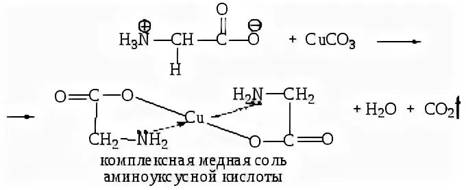 Глицин и гидроксид меди 2 реакция. Образование комплексной медной соли глицина. Образование медной соли аминоуксусной кислоты. Образование медной соли аминоуксусной кислоты реакция. Комплексная медная соль аминоуксусной кислоты.