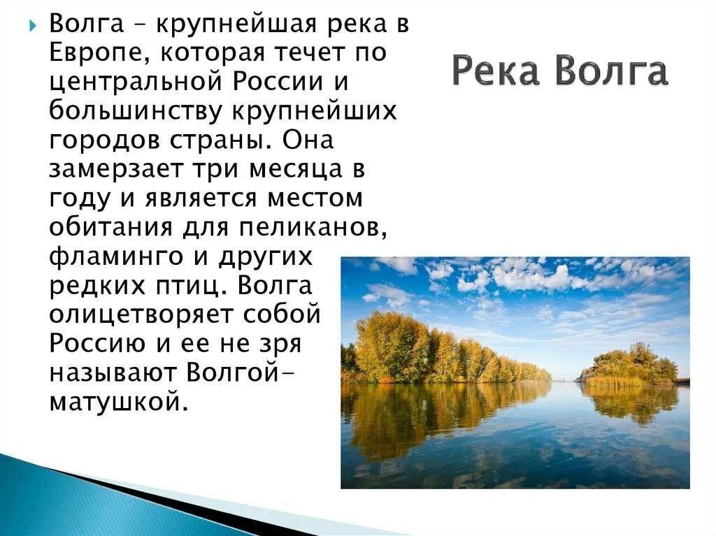 Река Волга доклад 4 класс. Доклад про Волгу. Сведения о Волге. Сообщение о реке Волге.