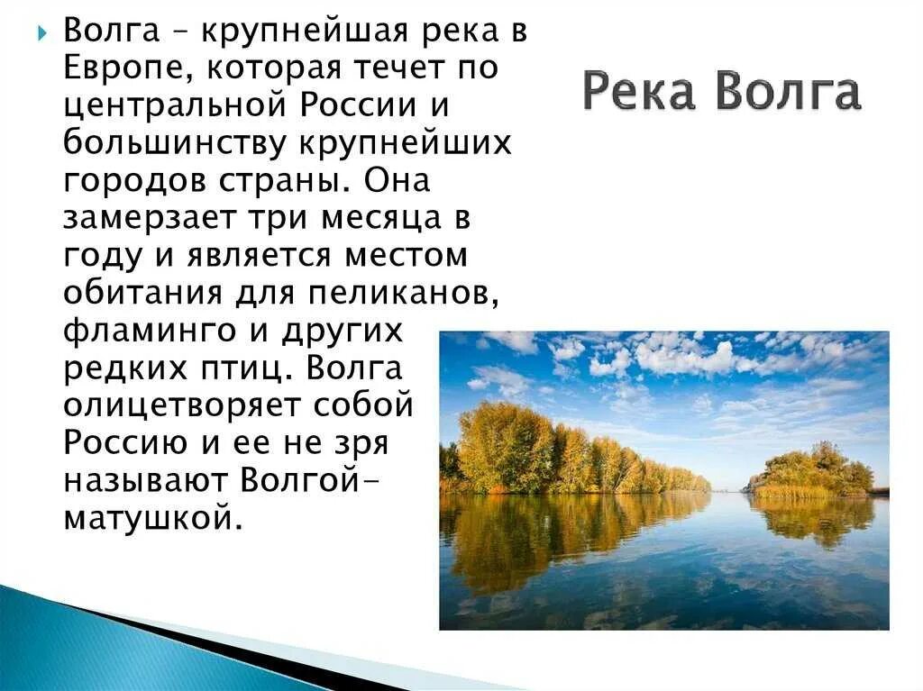 Факты россии 4 класс. Река Волга доклад 4 класс. Доклад про Волгу. Сведения о Волге. Сообщение о реке Волге.