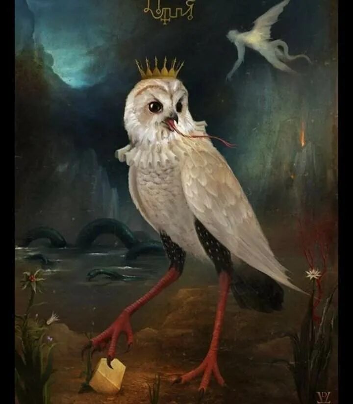 Сова фэнтези. Столас адский босс чиби. Сумасшедшая сова. Бешеная сова. Крутая сова.