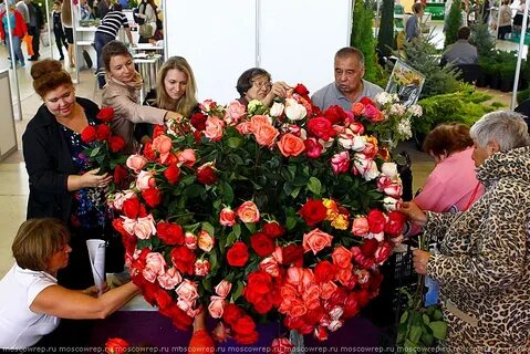 Цветы 2014