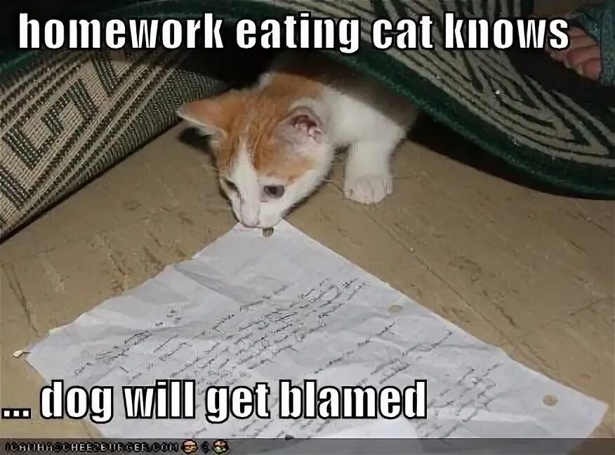 My dog has eaten my homework. A dog ate a homework. My dog ate my homework. коллекция eat my. дог итинг хомворк.