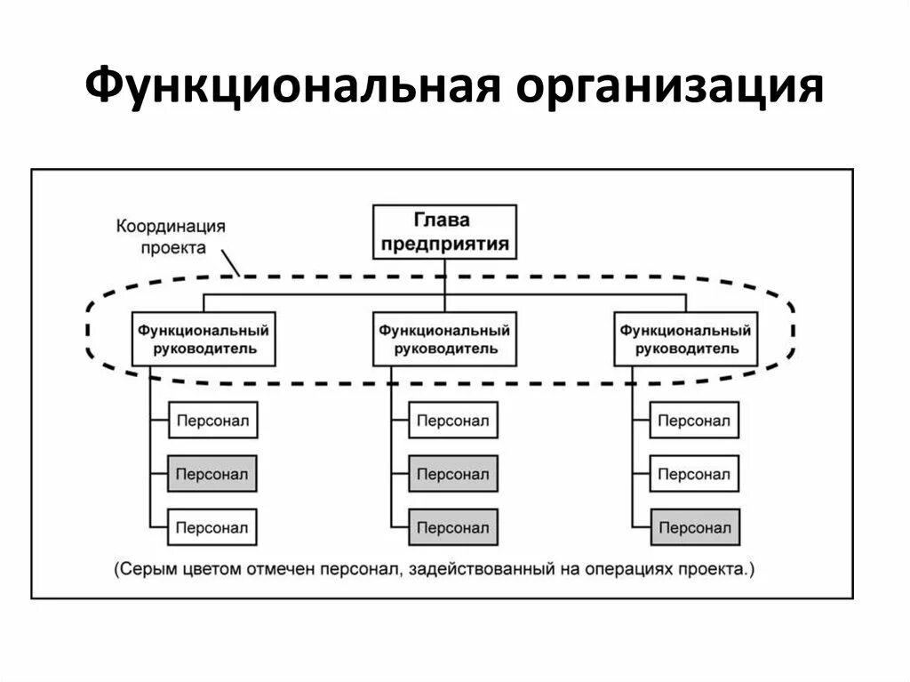 Функциональная и проектная структуры управления. PMBOK функциональная организация. Функциональная структура управления проектом. Структура проектной организации.
