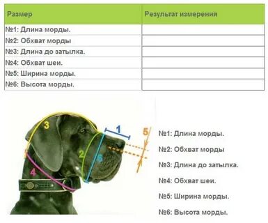 Как подобрать собаке намордник без примерки