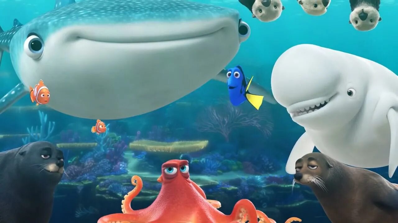 В поисках дори / finding dory (2016). В поисках дори 2. В поисках дори 2. В поисках немо мультфильм 2016. Finding dory 2016.