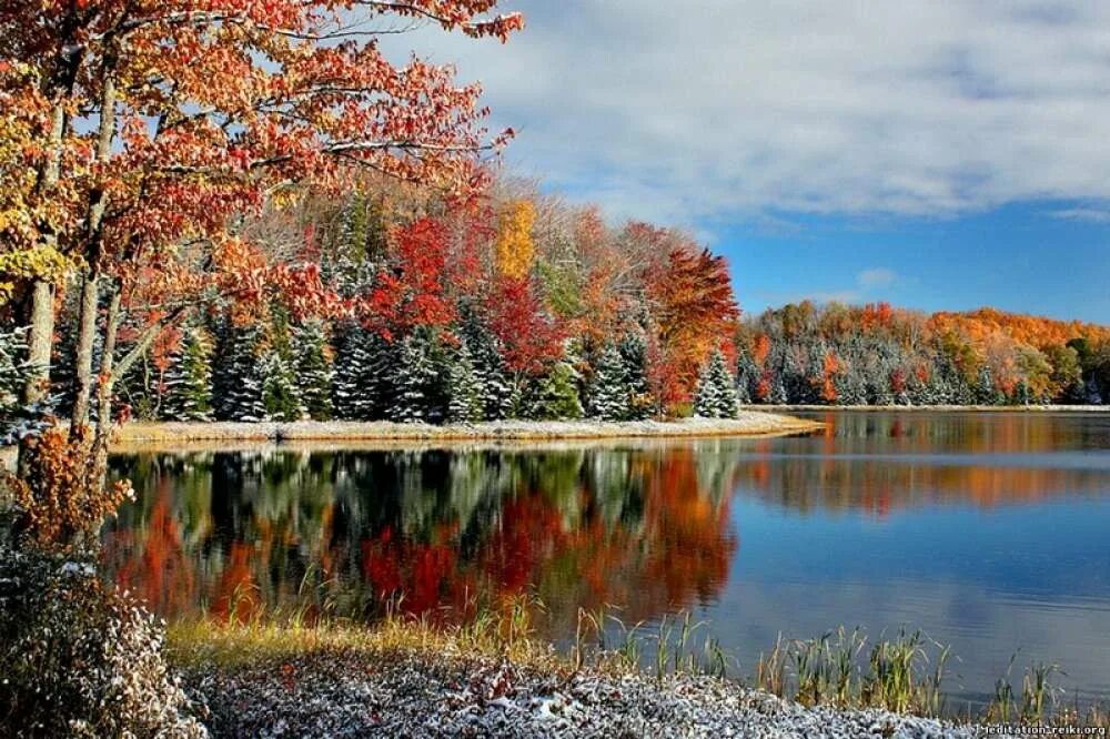 Красивые ноябрьские картинки. Осень. Октябрь природа. Осенняя природа. Ноябрь пейзаж.