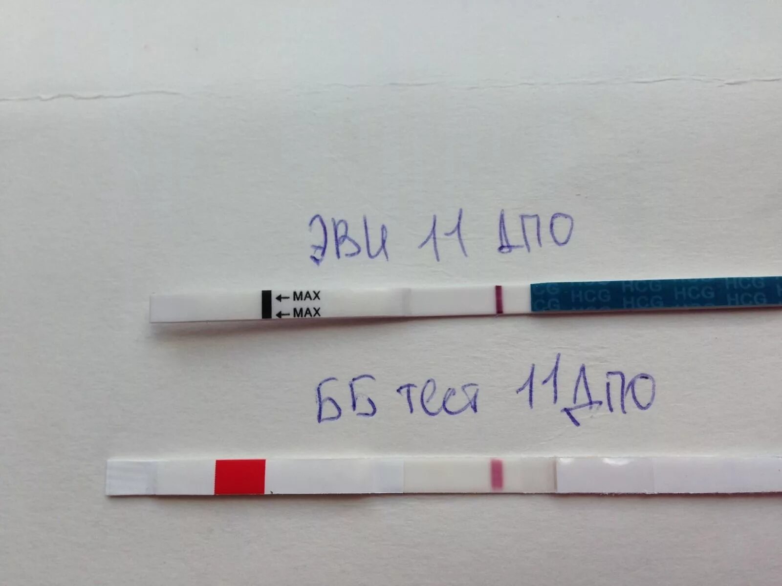 Тест на беременность. 11 ДПО тест. Поздние положительные тесты. Тест после имплантационного кровотечения.