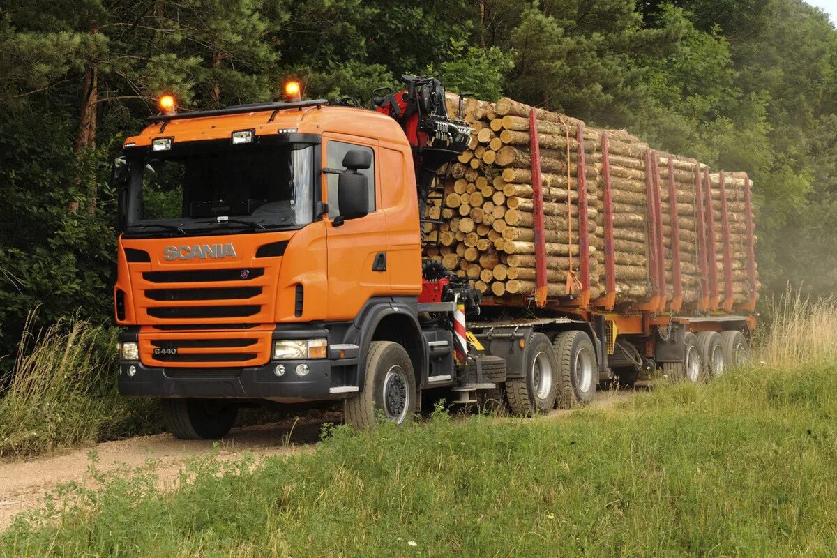 скания с манипулятором для леса. скания лесовоз автопоезд. Scania r730 highline. камаз 5320 груженый лесом. транспортировка древесины.