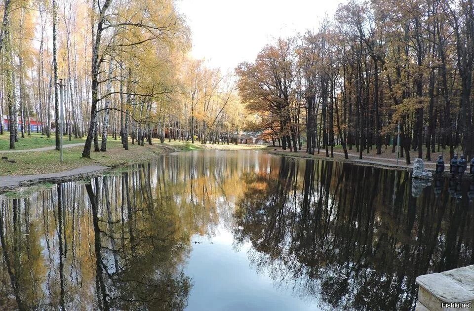 Город Новомосковск детский парк. Парк в Новомосковске Тульской области. Взрослый парк Новомосковск. Детский парк город Новомосковск Тульской.