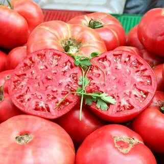Какие сорта помидор самые вкусные