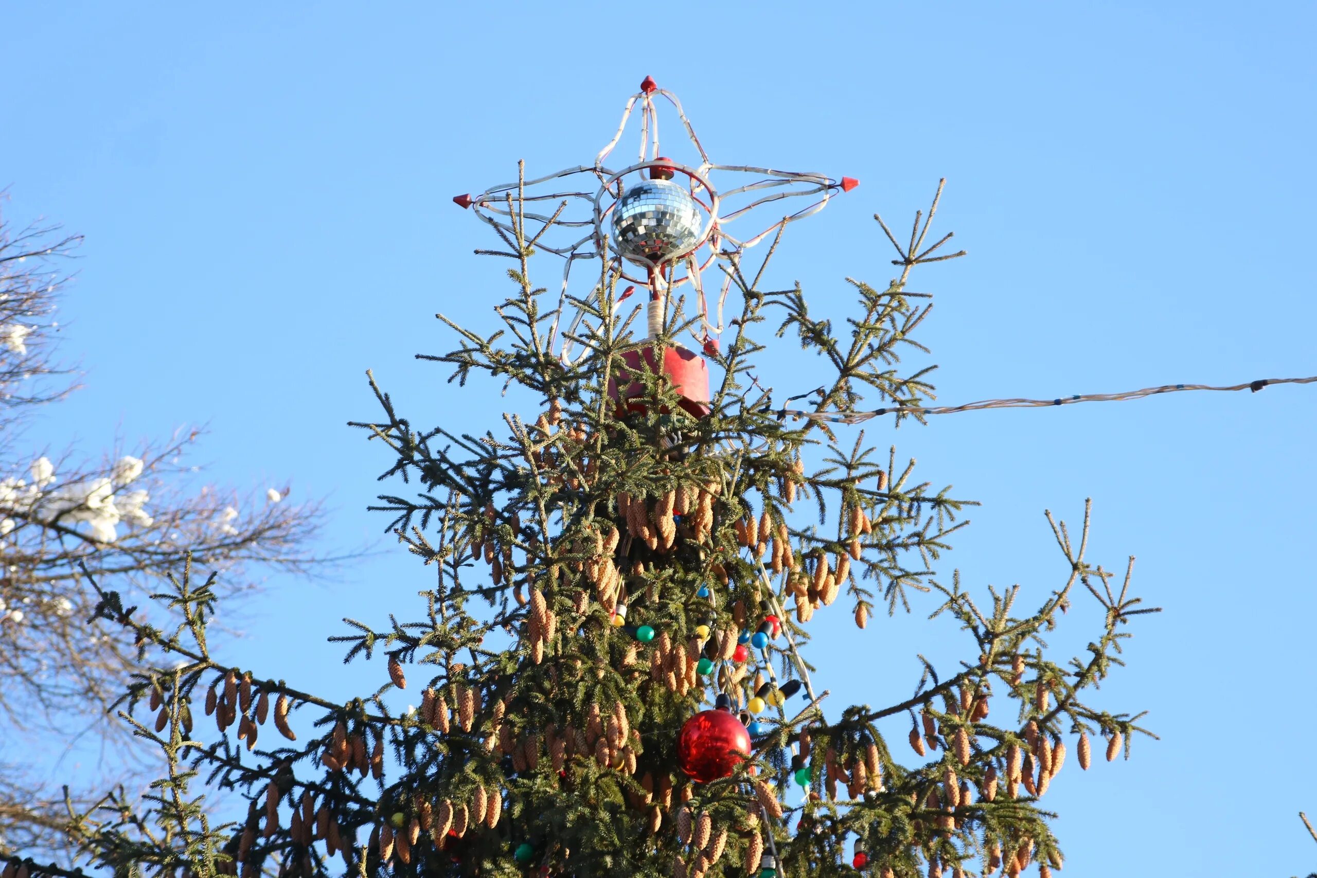 Елка на автозаводской мичуринск. Елки 7 декабря. Дворцовая площадь елка 2020. Елки 7 цветов декор в интерьере. Елка желаний 2021.
