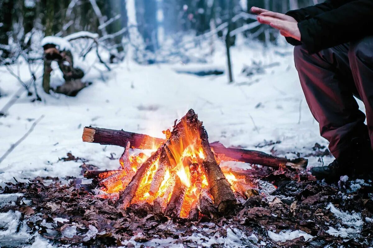 Кипит в лесу. Костер зимой в лесу. Костер в зимнем лесу. Огонь в зимнем лесу. Костер в лесу.