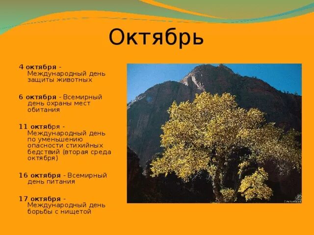 Даты 6 октября. 6 Октября день. 6 Октября какой день. 6 Октября. 6 Октября картинки.