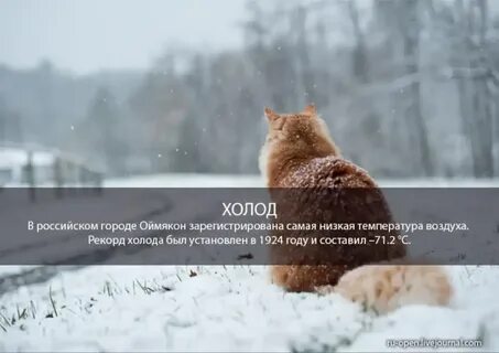 Был зарегистрирован рекорд по самой низкой температуре