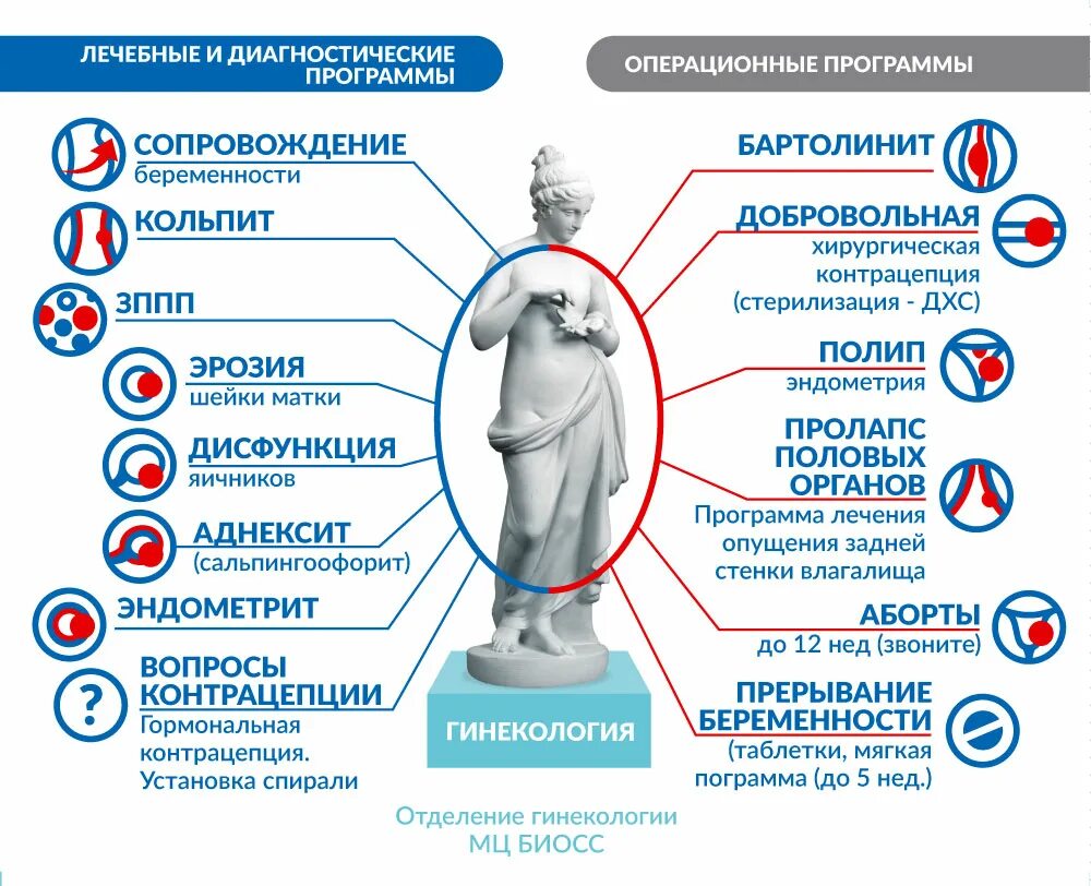 Лечение заболеваний женских половых органов. Заболевание. По гинекологии список. По женски болезни список названия. Гинекология гинекологические заболевания. Болезни женские по гинекологии список.