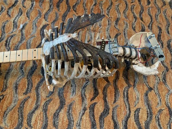 Электрогитара из скелета. Электрогитара из костей. Гитара из костей. Гитара из скелета дяди.