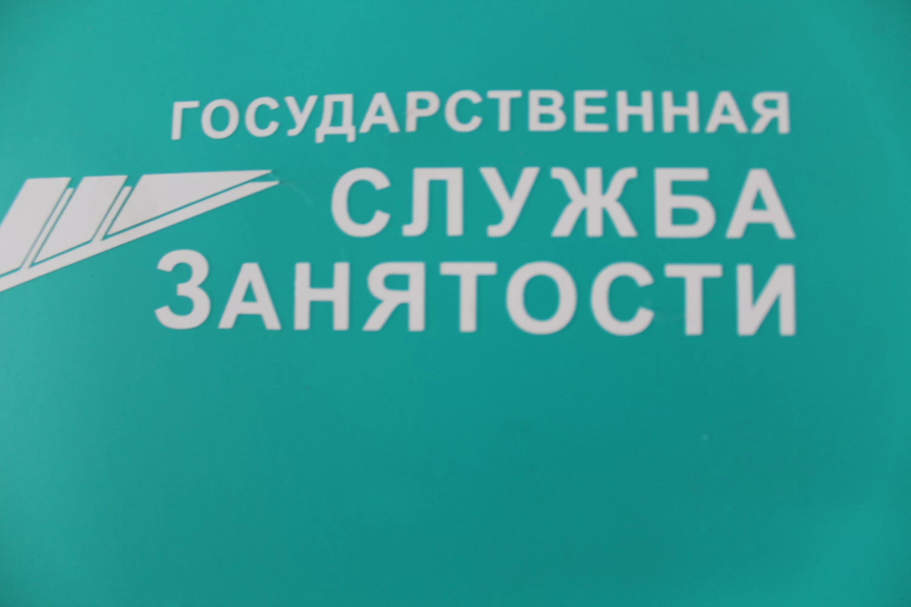 Сайт центр занятости нижний тагил. Служба занятости. Центр занятости логотип. Государственная служба занятости. Центр занятости населния.