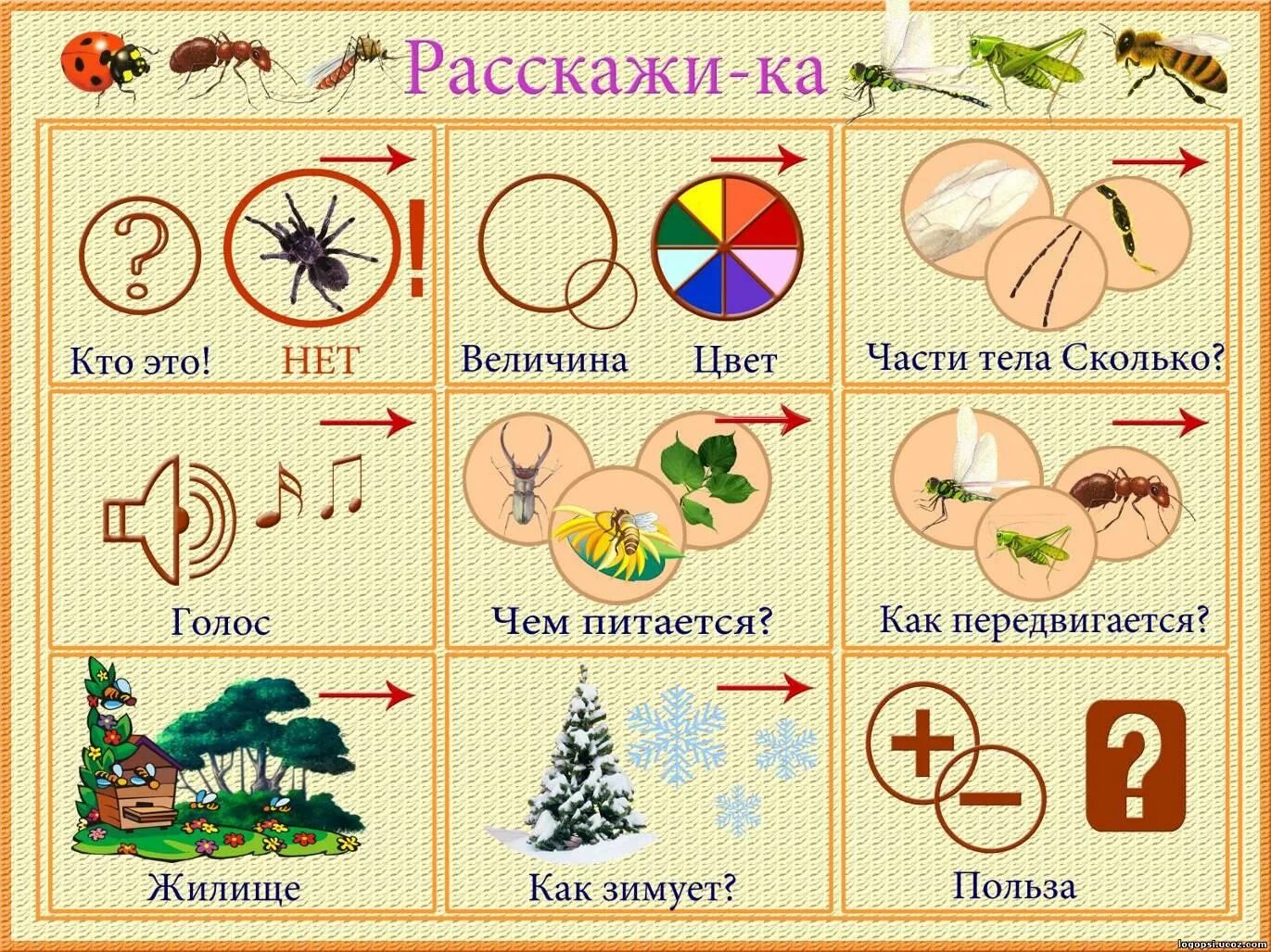 Обучение рассказыванию дидактическое упражнение что это