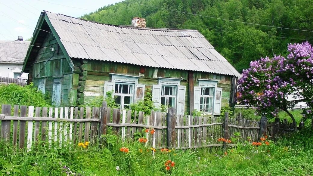 Зарегистрировал на участке старый дом. Палисад мальвы деревня. деревенский дом. старый дачный домик. домик в деревне.